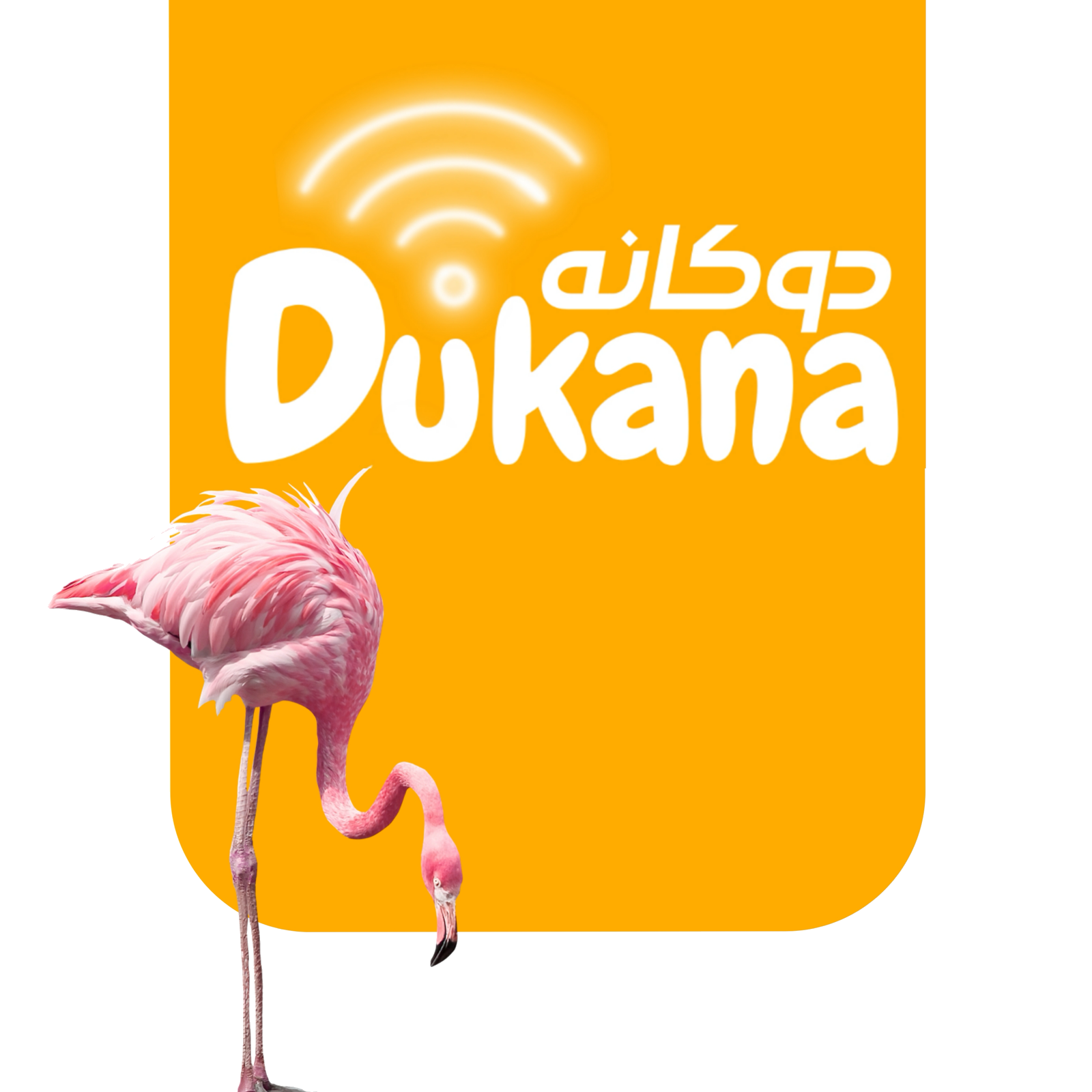 دكانه علي النت